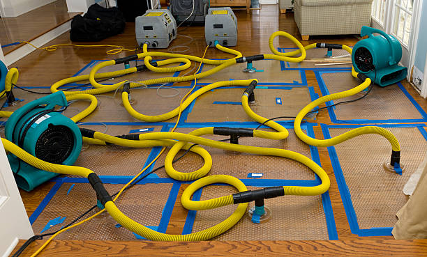 Professional Basement Flood Cleanup technician working in New Martinsville, WV